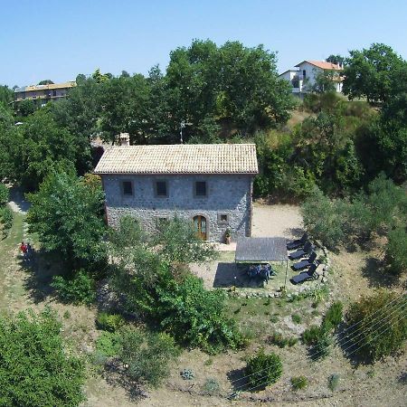 Villa Fattoria Capobianco Montefiascone Exterior foto